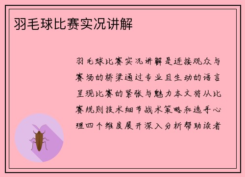 羽毛球比赛实况讲解